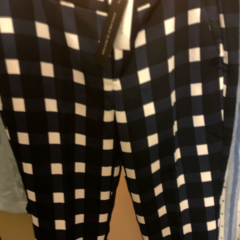 Sapphire Blue Pants NWT